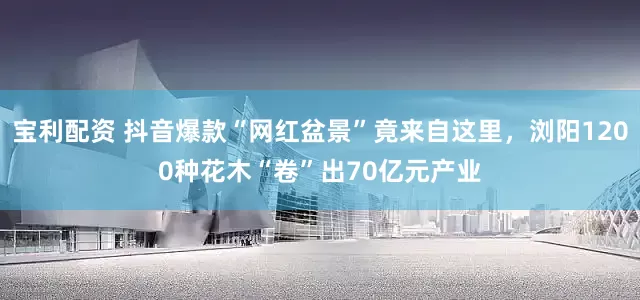 宝利配资 抖音爆款“网红盆景”竟来自这里，浏阳1200种花木“卷”出70亿元产业