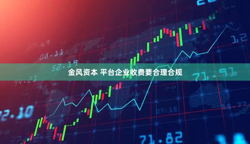 金风资本 平台企业收费要合理合规